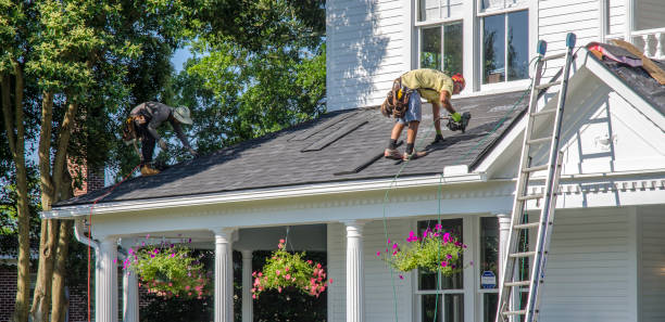 Best Roof Gutter Cleaning  in Mcqueeney, TX
