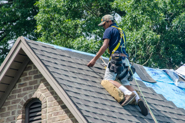 Best Roof Gutter Cleaning  in Mcqueeney, TX